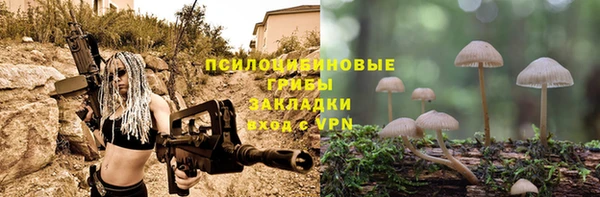 синтетический гашиш Алексин