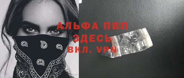 стаф Алзамай